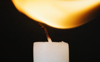 Cremation and Your Budget Needs